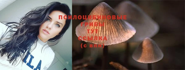 каннабис Гусев