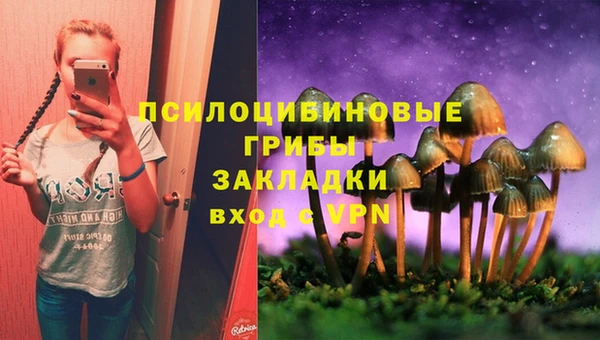 гидра Уссурийск