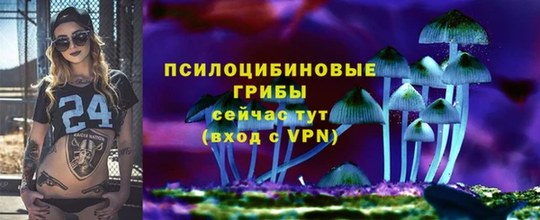 герыч Гусь-Хрустальный