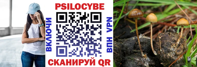 Псилоцибиновые грибы Psilocybine cubensis Кола